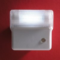 Mini-Fluorescent Night Light